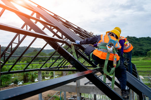 Best Roof Gutter Cleaning  in Manana, HI