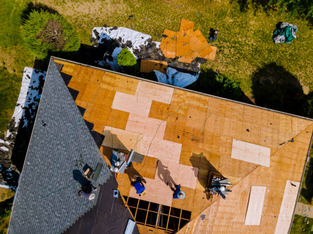 Best Storm Damage Roof Repair  in Manana, HI