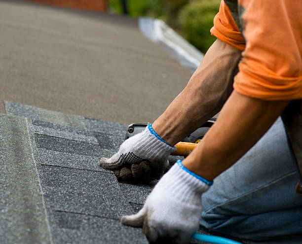 Best Metal Roofing Contractor  in Manana, HI