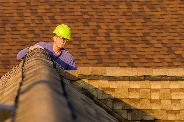 Best Roof Maintenance Services  in Manana, HI